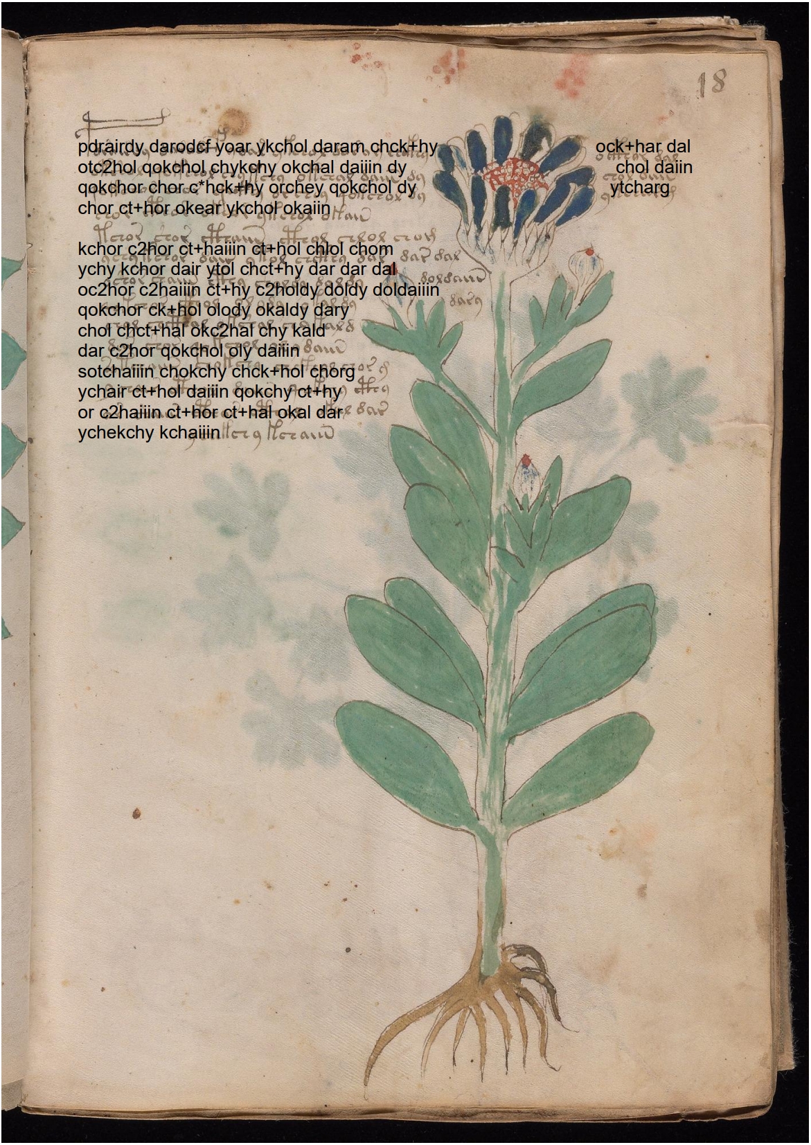 Folio 18r glyph overlay on parchment